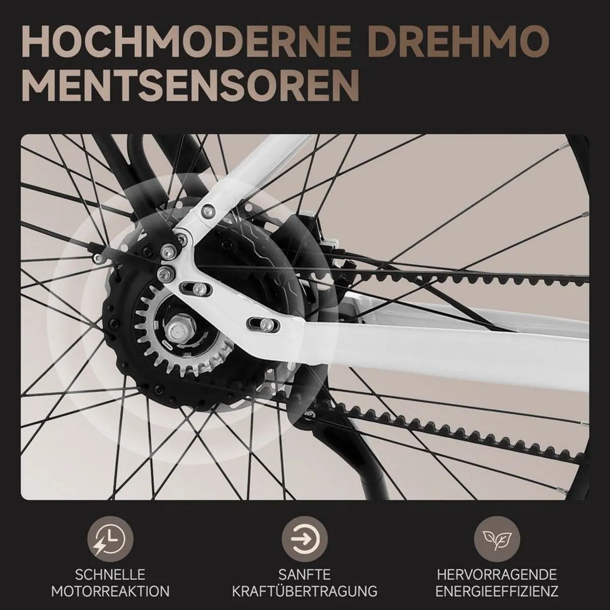 VECOCRAFT LUNA 2.0 E-Bike, Automatische 2-Gang-Schaltung, 45Nm Heckmotor, 360 Wh 5
