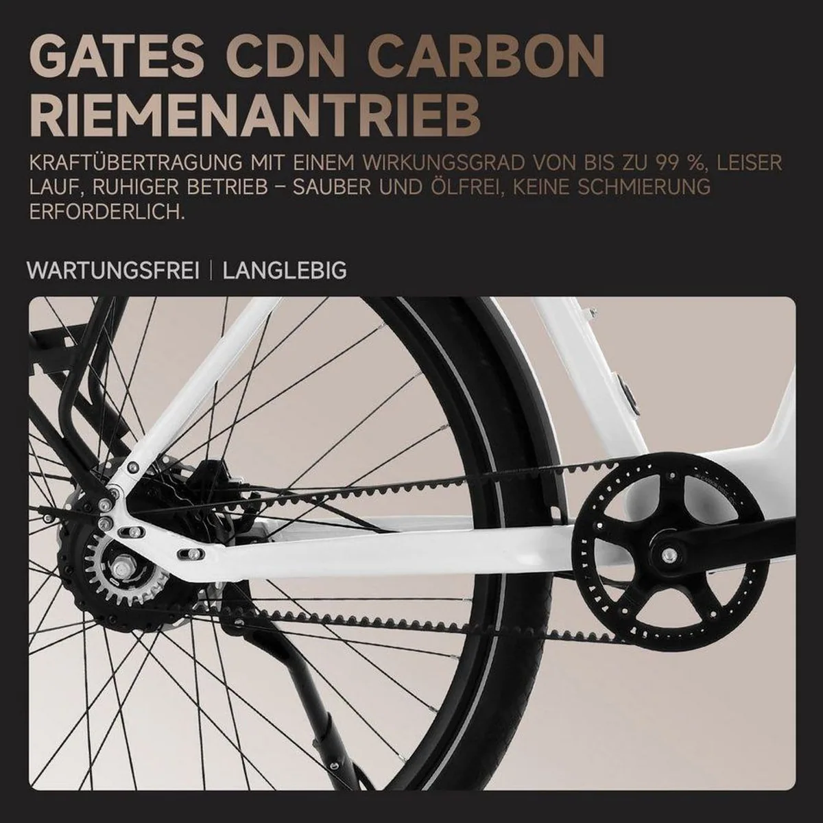 VECOCRAFT LUNA 2.0 E-Bike, stufenloses Antriebssystem, GATES Riemenantrieb, 360Wh Akku 3