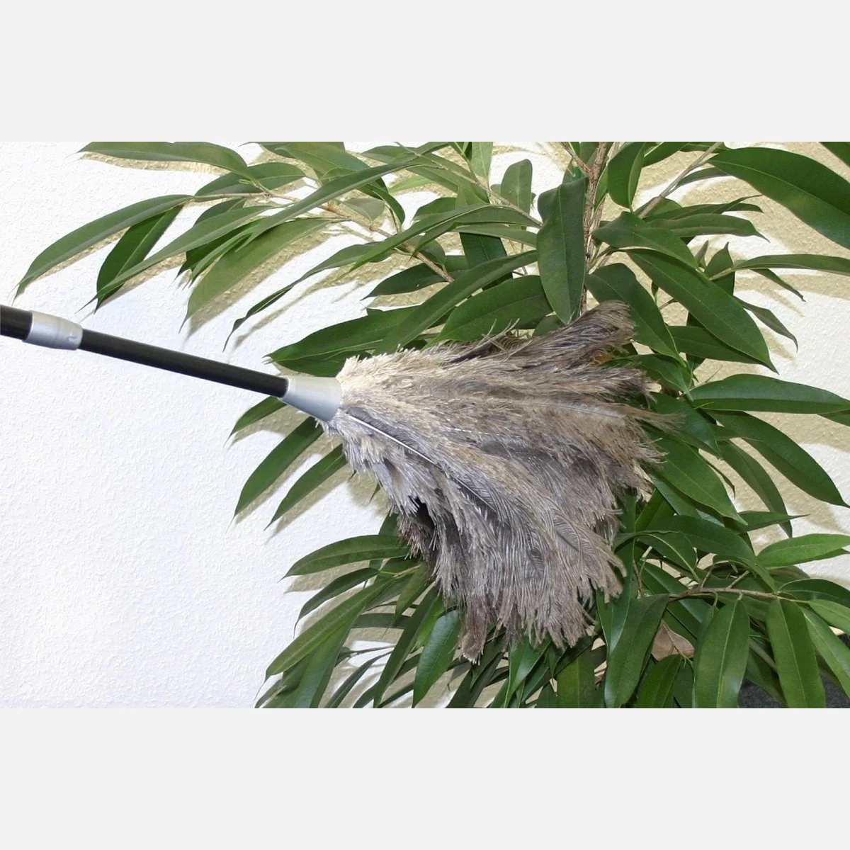 Wenko Staubwedel, Teleskopstiel 81 cm, echte Straußenfedern 5