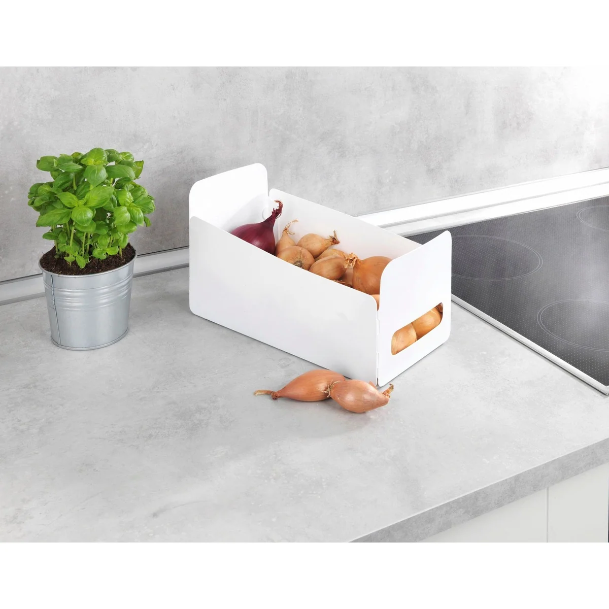 Wenko Organizer Universal Set, faltbar, platzsparend, vielseitig einsetzbar 5