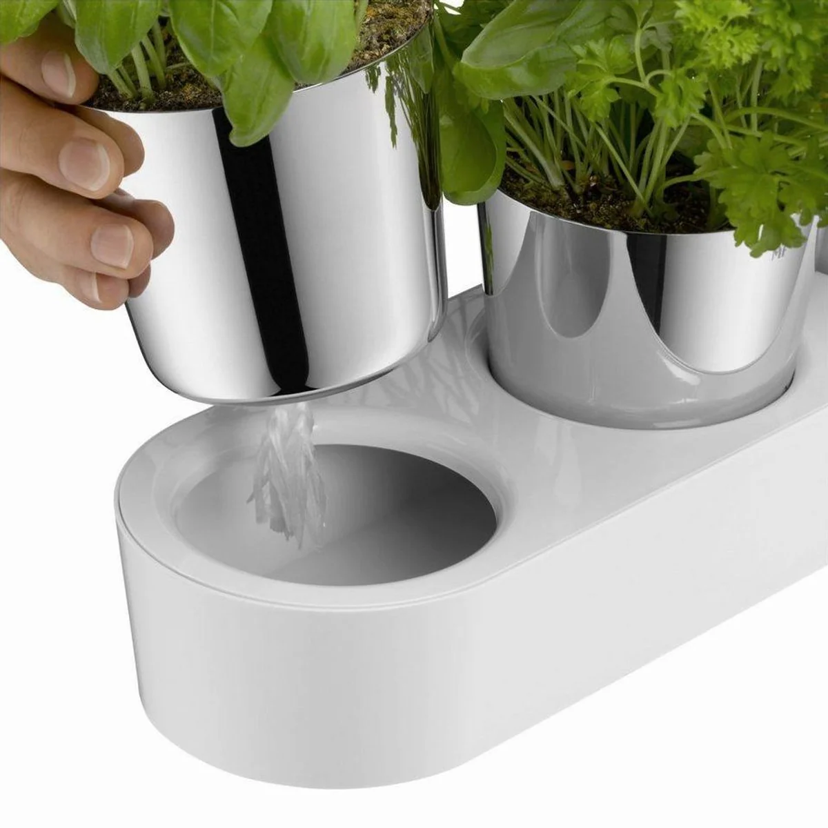 WMF Kräutertopf Set, 7-stellig, mit intelligentem Bewässerungssystem 3