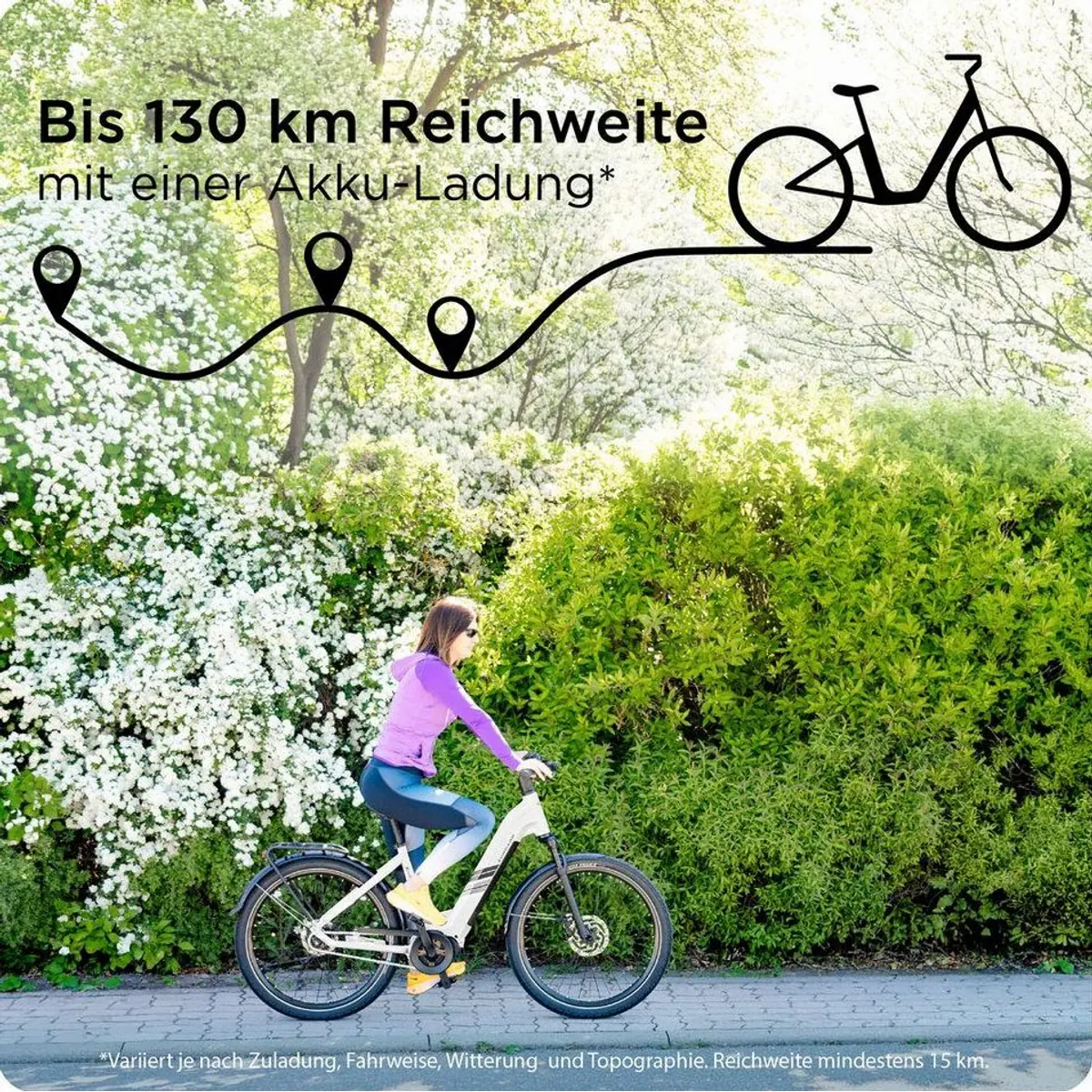 Zündapp X885 E-Bike, 7 Gang Nabenschaltung, Mittelmotor, 550 Wh Akku 2